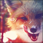 Avatarus Solarium,Avatarus Sharpen,Avatarus Orbis